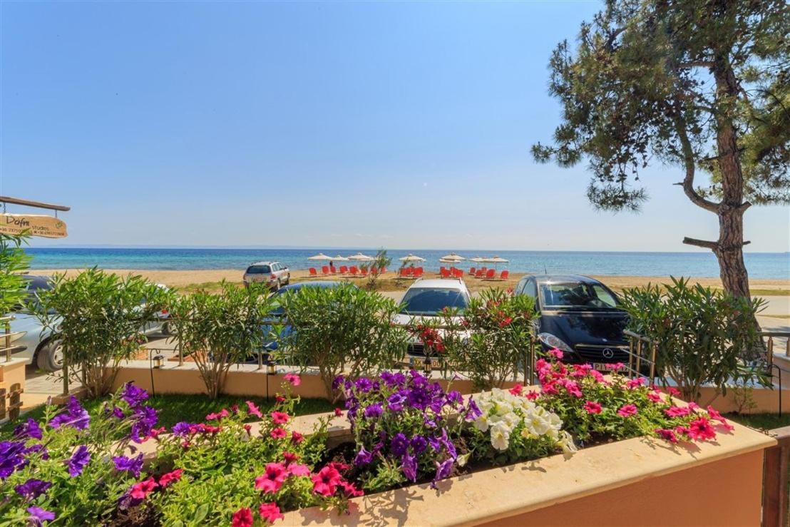 Studio Nikiti Beach ภายนอก รูปภาพ